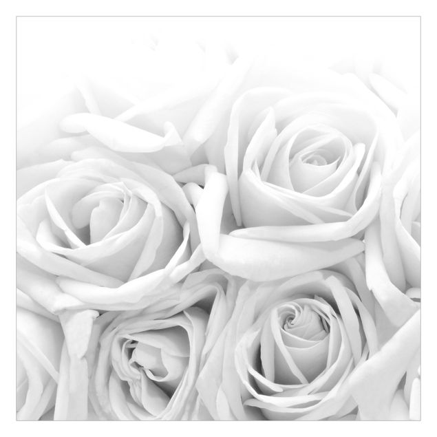 Tapeter White Roses Black And White