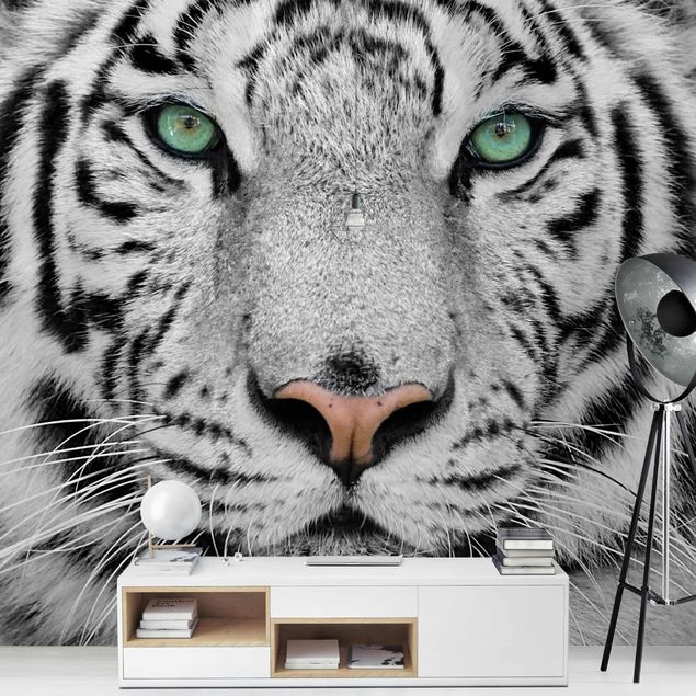 Tapeter modernt White Tiger