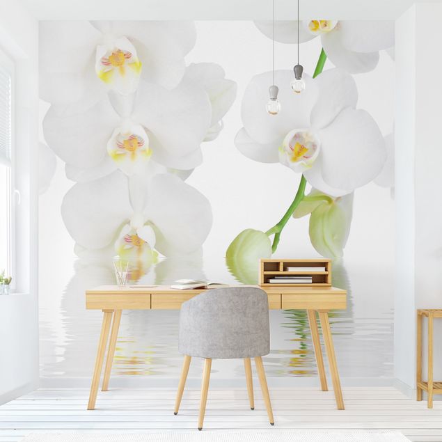 Fototapeter blommor  Spa Orchid - White Orchid
