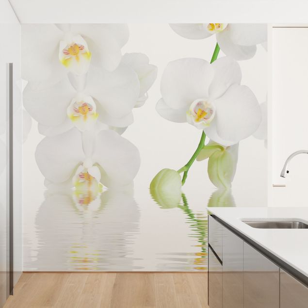 Tapeter modernt Spa Orchid - White Orchid