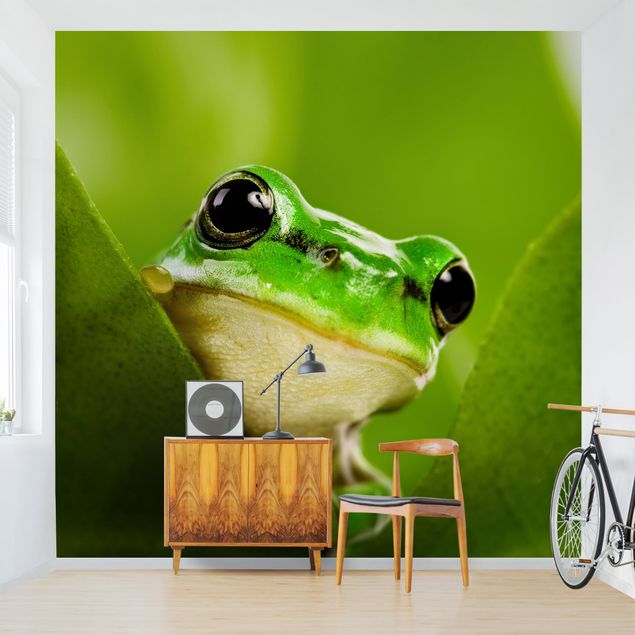 Tapeter modernt Frog