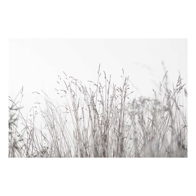 Tavlor Monika Strigel Winter Grasses