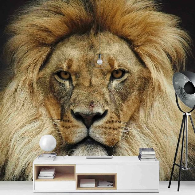 Fototapeter djur Wisdom Of Lion