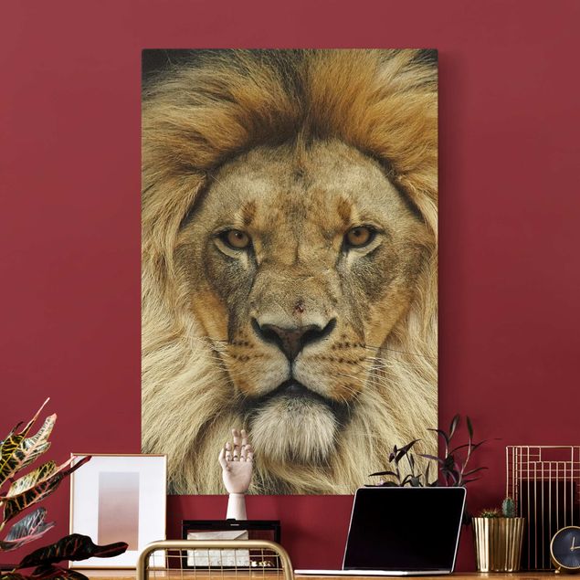 Canvastavlor katter Wisdom of Lion