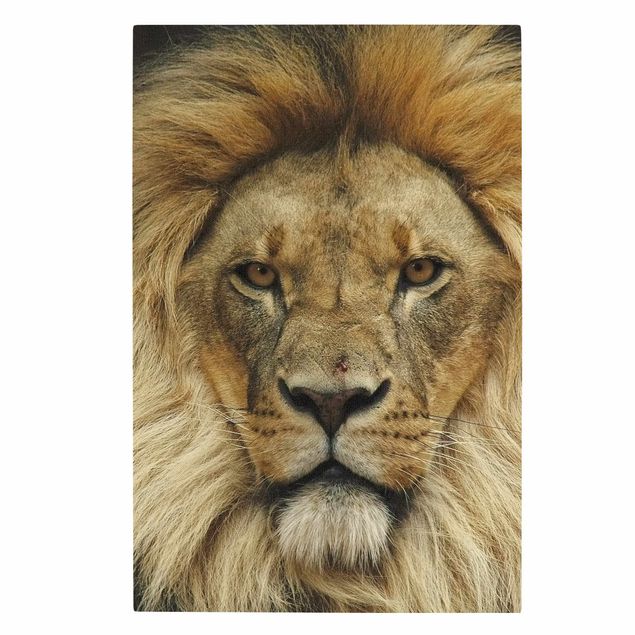 Canvastavlor djur Wisdom of Lion