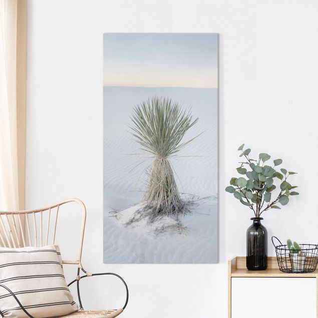 Canvastavlor dyner Yucca palm in white sand