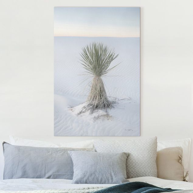 Canvastavlor dyner Yucca palm in white sand