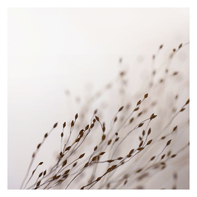 Tavlor Monika Strigel Soft Grasses In Slipstream