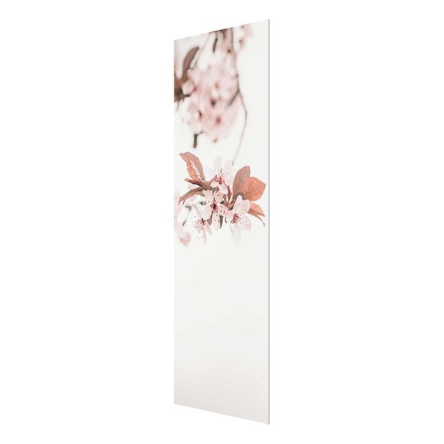 Tavlor Monika Strigel Delicate Cherry Blossoms On A Twig