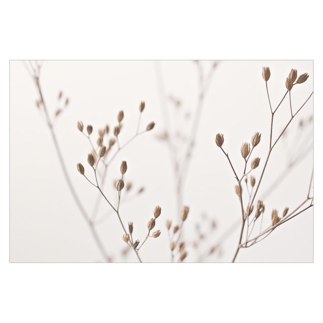Tavlor Monika Strigel Delicate Buds On A Wildflower Stem