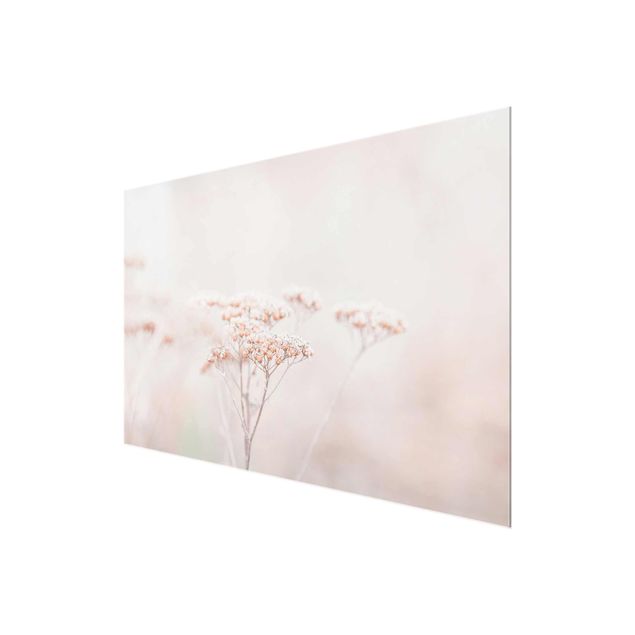Tavlor Monika Strigel Pale Pink Wild Flowers