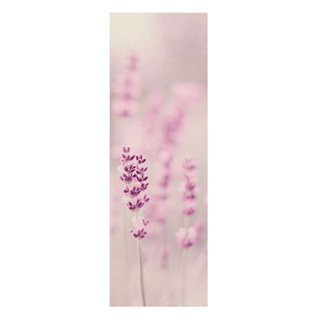Tavlor blommor  Pale Purple Lavender