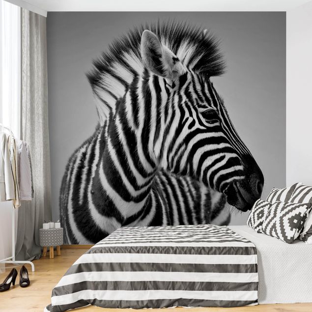 Tapeter modernt Zebra Baby Portrait II