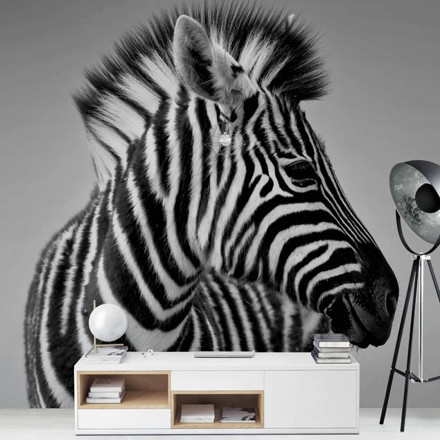 Fototapeter svart och vitt Zebra Baby Portrait II