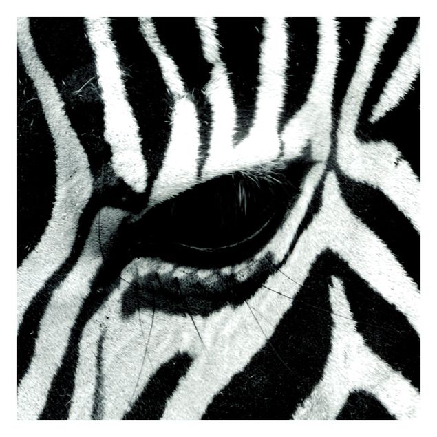 Fototapeter djur Zebra Crossing