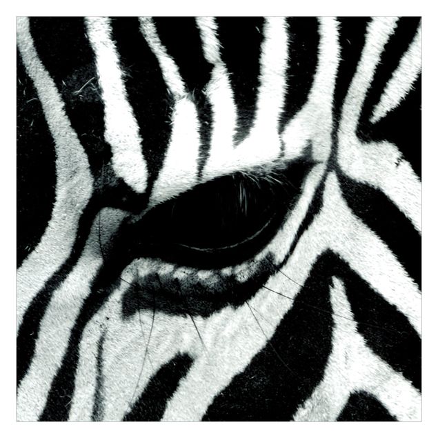 Fototapeter djur Zebra Crossing