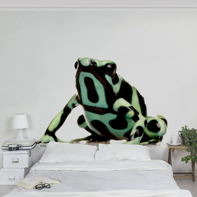 Tapeter modernt Zebra Frog