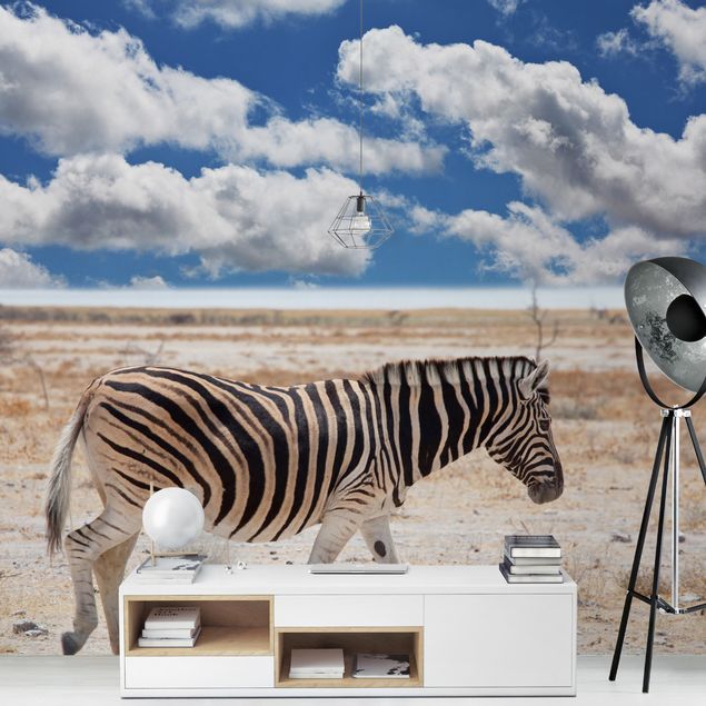Fototapeter landskap Zebra In The Savannah