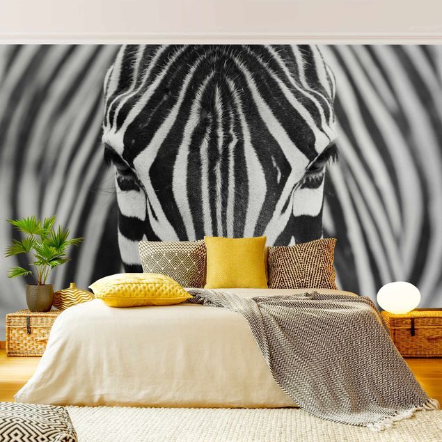 Fototapeter zebror Zebra Look