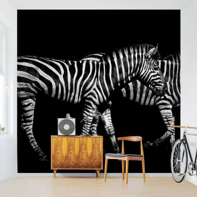 Kök dekoration Zebra In The Dark