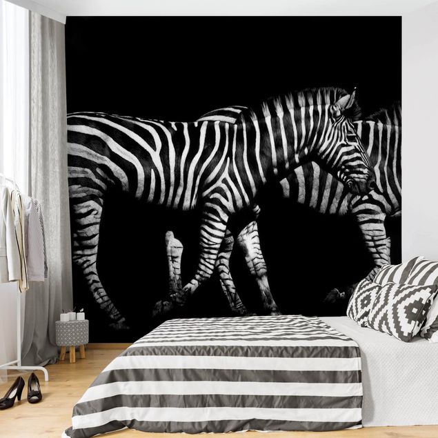 Fototapeter zebror Zebra In The Dark