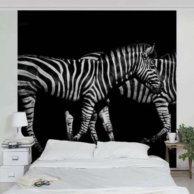 Fototapeter svart och vitt Zebra In The Dark