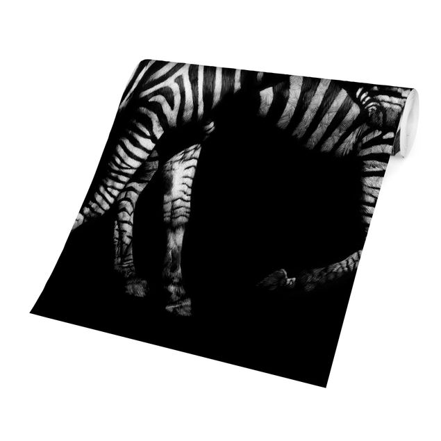 Fototapeter djur Zebra In The Dark