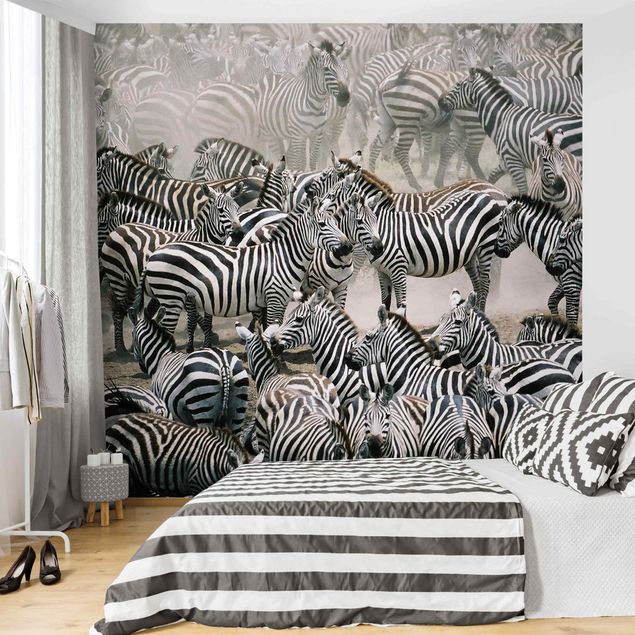 Tapeter modernt Zebra Herd