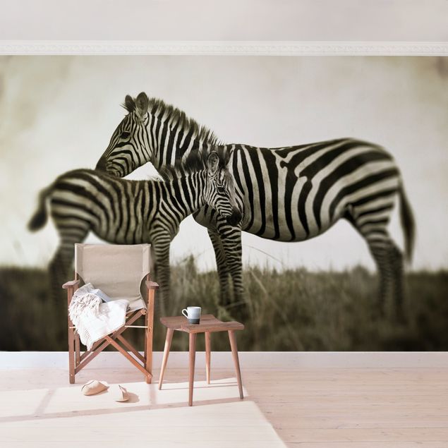 Fototapeter svart och vitt Zebra Couple
