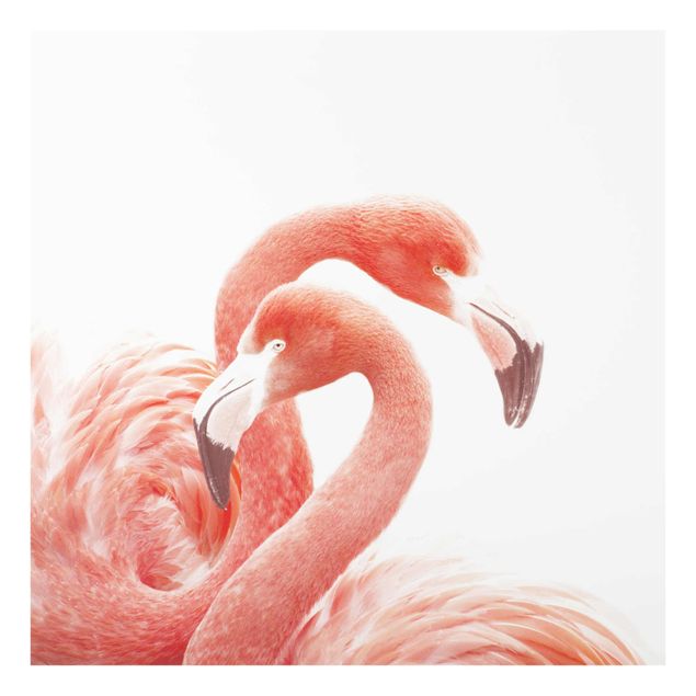Tavlor modernt Two Flamingos