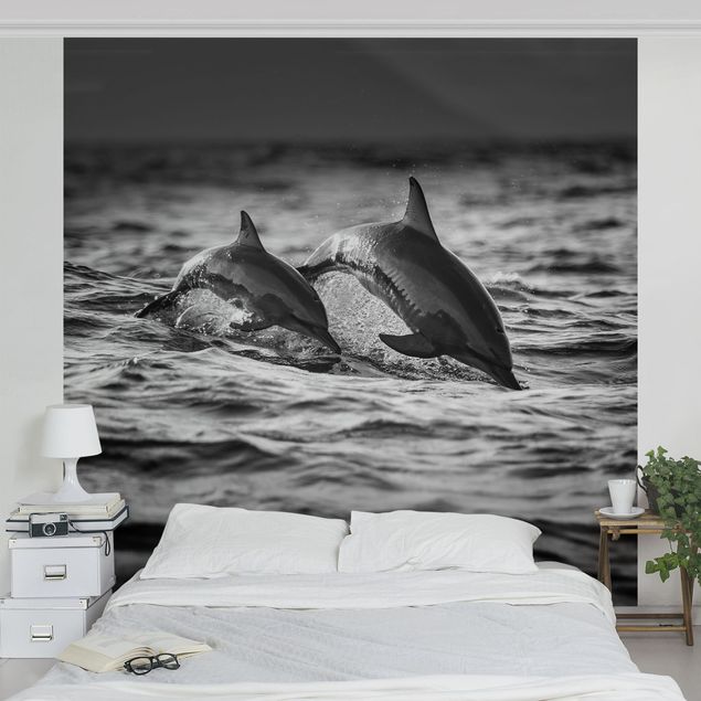 Fototapeter svart och vitt Two Jumping Dolphins