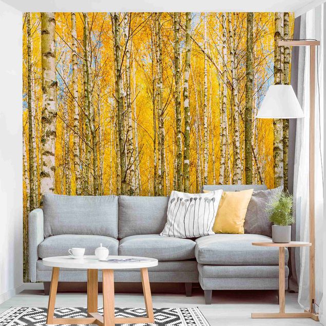 Kök dekoration Between Yellow Birch Trees