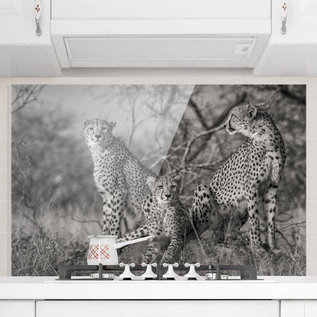 Kök dekoration Three Cheetahs