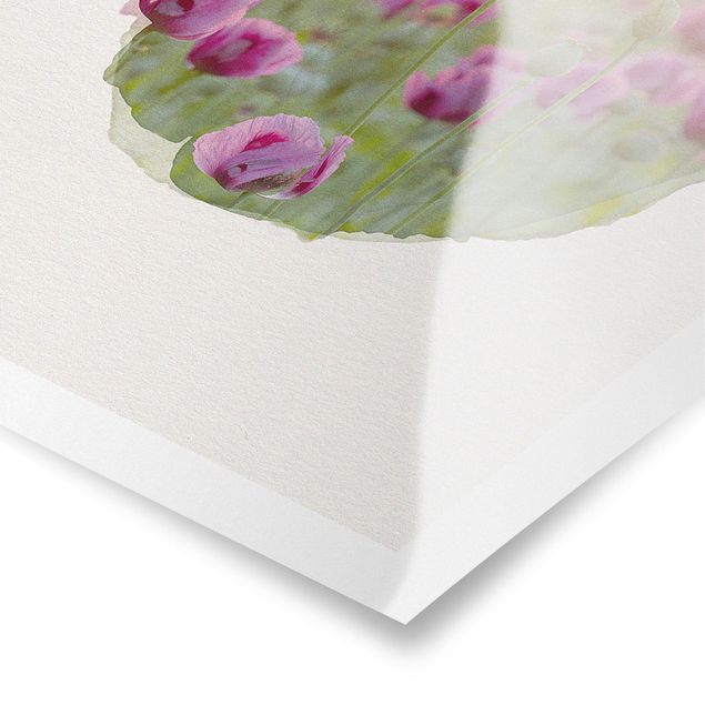 Tavlor Rainer Mirau WaterColours - Violet Poppy Flowers Meadow In Spring