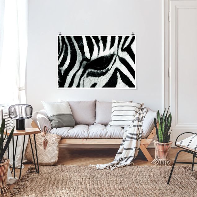 Posters svart och vitt Zebra Crossing