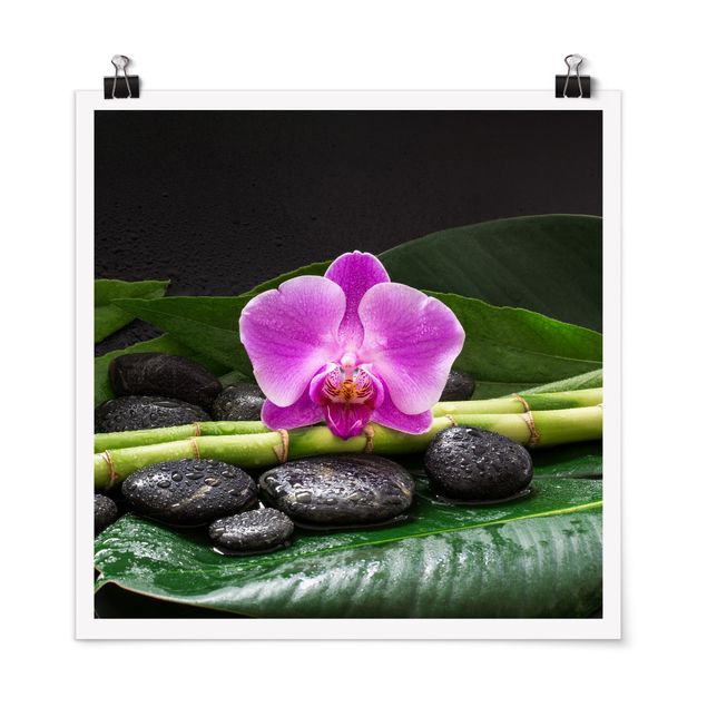 Posters blommor  Green Bamboo With Orchid Flower