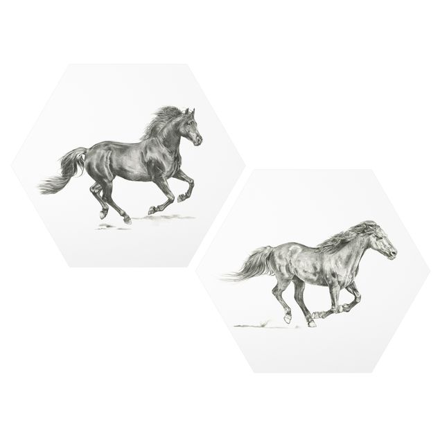 Tavlor modernt Wild Horse Study Set I