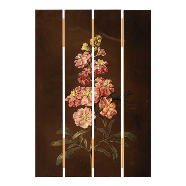 Trätavlor blommor  Barbara Regina Dietzsch - A Light Pink Gillyflower