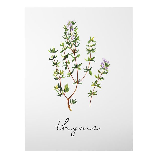 Tavlor kryddor Herbs Illustration Thyme