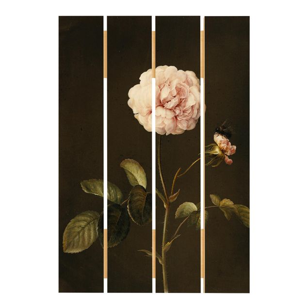 Trätavlor blommor  Barbara Regina Dietzsch - French Rose With Bumblbee