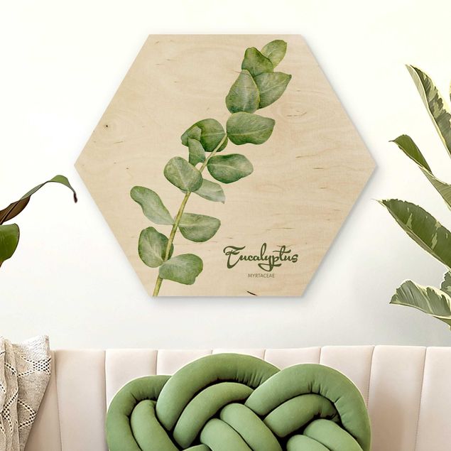 Kök dekoration Watercolour Botany Eucalyptus