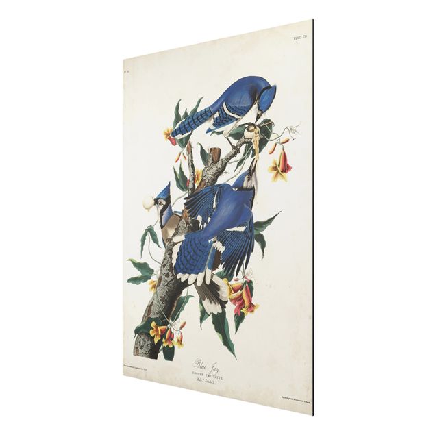Tavlor blommor  Vintage Board Blue Jays