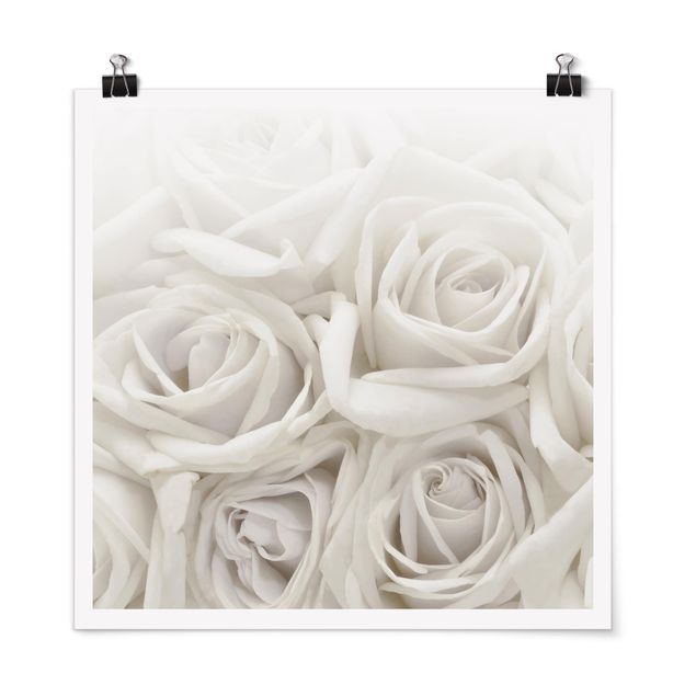 Tavlor blommor White Roses