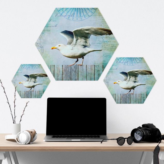 Hexagon Bild Forex - Vintage Collage - Seemöwe auf Holzplanken