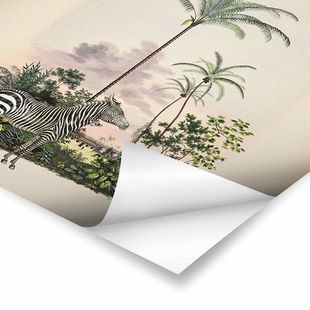 Tavlor Andrea Haase Zebra Front Of Palm Trees Illustration