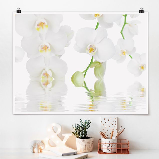 Tavlor orkidéer Spa Orchid - White Orchid