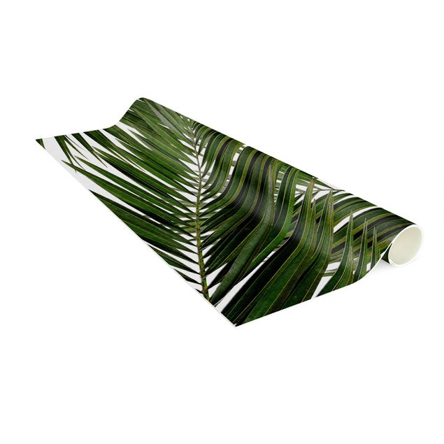 djungelmatta View Through Green Palm Leaves