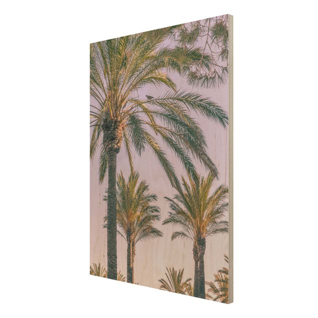 Trätavlor landskap Palm Trees At Sunset