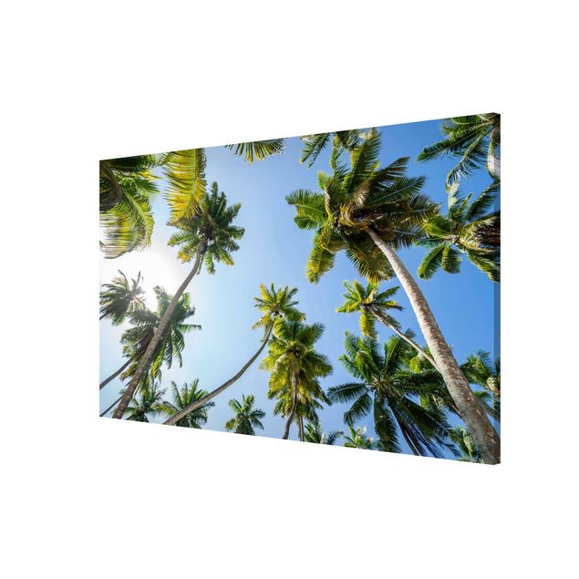 Tavlor natur Palm Tree Canopy