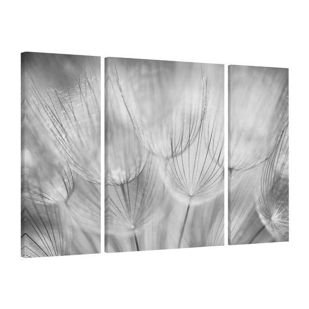 Canvastavlor blommor  Dandelions Macro Shot In Black And White